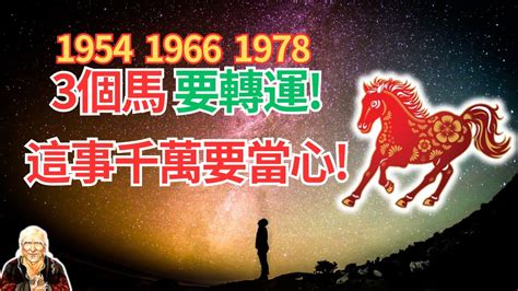 1978生肖馬|【1978年屬什麼生肖】屬馬的一生：揭秘1978年屬馬的命運玄。